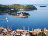 Vis