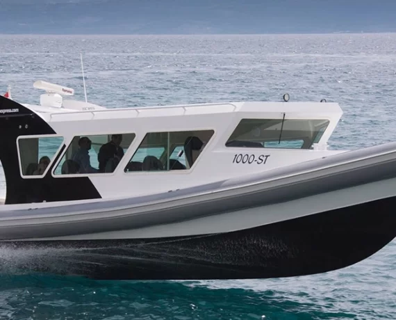 Great White 39 - Speed Boat - Dalmatia Express Fleet