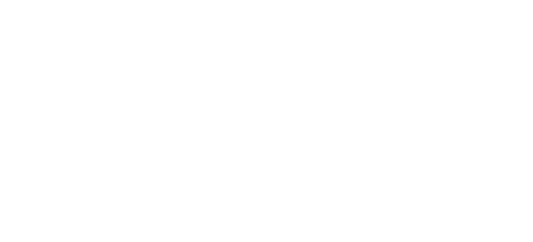 Burza Nautike white logo png