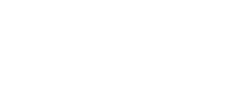 Dalmatia Express Logo White transparent background
